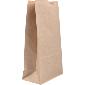 Brown Kraft Medium Paper Lunch Bags (5 x 9 3/4 x 3) - 25 Pack