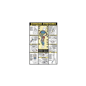 Exercise Stretches Chart 11" x 16" by Algra Corporation