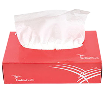 Premium 2-Ply Facial Tissues 8'' x 8.3'' Sheet, 100 Count