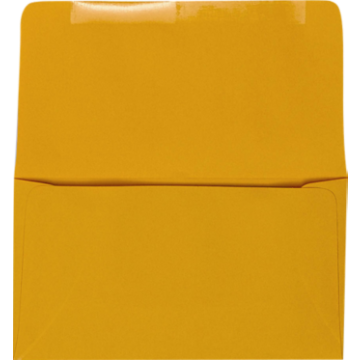 Remittance Envelopes (3 5/8 x 6 1/2 Closed) - Goldenrod 24lb